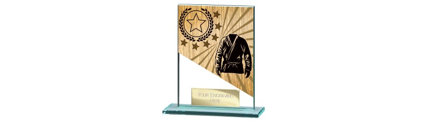 MUSTANG MARTIAL ARTS GLASS TROPHY - 5 SIZES - 11CM - 18CM MUSTANG MARTIAL ARTS GLASS TROPHY - 5 SIZES - 11CM - 18CM